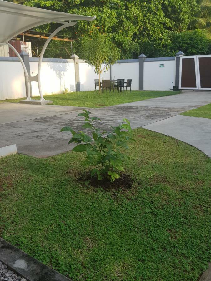 Maison Cattleya Selfcatering Apartment Anse Royale Exterior photo